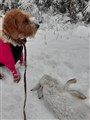 20221130_093633.jpg