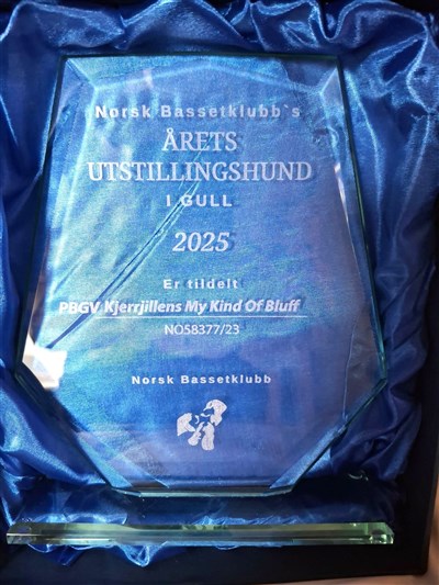 &aring;retsutshund25